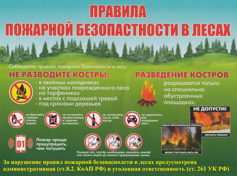 ПАМЯТКА ПРАВИЛА ПОЖАРНОЙ БЕЗОПАСНОСТИ ПРИ НАХОЖДЕНИИ В ЛЕСУ..